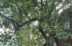 Продам дом 84 м2 картинка из объявления