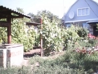 Жилой двухэтажный дом,кухня,флигель и другие хоз.постройки на 30 сотках. картинка из объявления