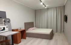 Сдам 1 комнатную квартиру 25 м2 картинка из объявления