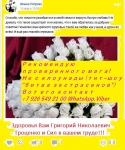 Отворот-остуда это магическое воздействие, которое направлено на в объявлении 6 фото Отворот-остуда это магическое воздействие, которое направлено на картинка из объявления