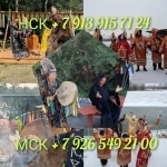 Гадание на таро / Гадалка / Приворот / Обучение Цена договорная картинка из объявления