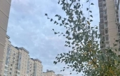 Продам 1 комнатную квартиру 33 м2 картинка из объявления