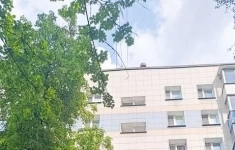 Сдам 2 комнатную квартиру 50 м2 картинка из объявления