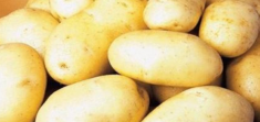 Картофель "Белорусский", "Адретта", "Смак" картинка из объявления