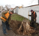 Пень выкорчевать Воронеж, измельчение пней в Воронеже и по в объявлении 3 фото Пень выкорчевать Воронеж, измельчение пней в Воронеже и по картинка из объявления