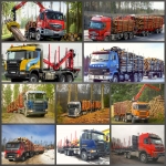 Лесовоз Воронеж, арендовать лесовозы фишки цена в городе Воронеже картинка из объявления