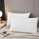 Шелковая подушка Chang картинка из объявления