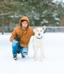 Красивая дрессированная собачка картинка из объявления