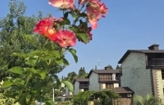 Продам коттедж 88 м2 картинка из объявления