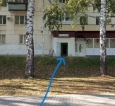 Чайковский картинка из объявления