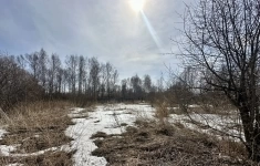 Продам участок 35 сот. картинка из объявления