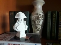 Бюст Наполеона в объявлении 8 фото Бюст Наполеона картинка из объявления