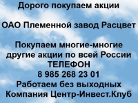 Покупаем акции ОАО Племенной завод Расцвет и любые другие акции картинка из объявления