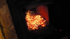 Уголь (фракция 5-20) в мешках по 50 кг в объявлении 1 фото Уголь (фракция 5-20) в мешках по 50 кг картинка из объявления