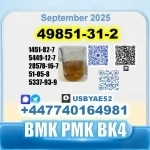 49851-31-2 2-Bromo-1-Phenyl-Pentan-1-One 2b4m PMK Source factory в объявлении 5 фото 49851-31-2 2-Bromo-1-Phenyl-Pentan-1-One 2b4m PMK Source factory картинка из объявления
