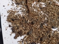 Отходы семян подсолнечника навалом картинка из объявления