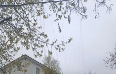 Продам 3 комнатную квартиру 84.5 м2 картинка из объявления