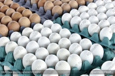 Куриные яйца по низким ценам в объявлении 1 фото Куриные яйца по низким ценам картинка из объявления