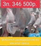 Требуются разнорабочие на мясной завод в объявлении 1 фото Требуются разнорабочие на мясной завод картинка из объявления