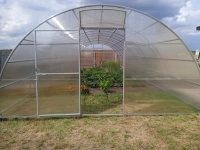 Теплицы ширина 5 метров картинка из объявления