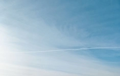 Продам 1 комнатную квартиру 44.9 м2 в объявлении 9 фото Продам 1 комнатную квартиру 44.9 м2 картинка из объявления