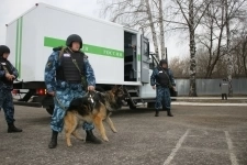 Инструктор-кинолог картинка из объявления