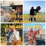 Гадание на картах таро, приворот, Любовный приворо 500 ₽ за услуг в объявлении 8 фото Гадание на картах таро, приворот, Любовный приворо 500 ₽ за услуг картинка из объявления