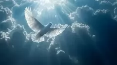 Высшая магия в Санкт-Петербурге. Сильный приворот в Санкт-Петербурге  👇 картинка из объявления