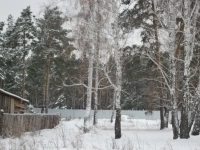 Земельный участок с.Колташево картинка из объявления