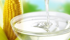 Сироп Глюкозно-фруктозный в объявлении 1 фото Сироп Глюкозно-фруктозный картинка из объявления