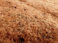 Биомат в объявлении 1 фото Биомат картинка из объявления