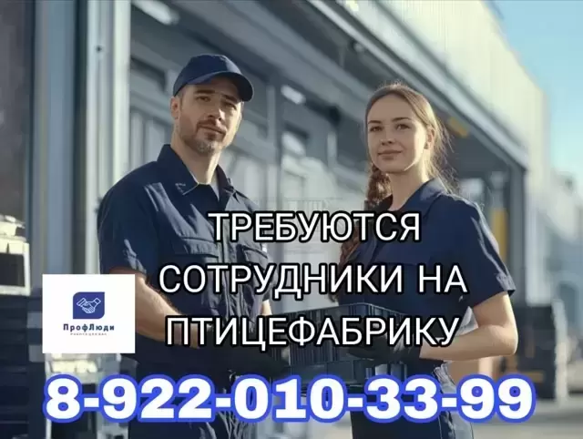 На птицефабрику требуются сотрудники картинка из объявления