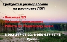 Требуются разнорабочие на расчистку ЛЭП картинка из объявления
