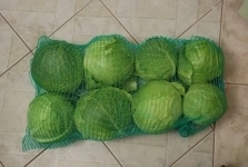 Капуста белокочанная рання картинка из объявления