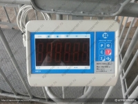 Весы для взвешивания животных картинка из объявления