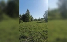 Продам коммерческую недвижимость 119.94 сот картинка из объявления