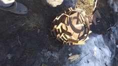 Мотоблок с прицепом и полный комплект картинка из объявления