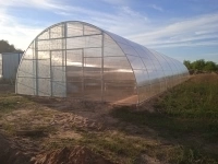 Фермерские теплицы ширина 7,64 метра. картинка из объявления