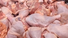 Оптовые продажи мяса собственного производства: Говядина, Свинина, Птица. Доставка. По РФ от 2 тн, Экспорт картинка из объявления