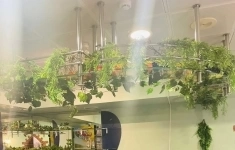 Сдам коммерческую недвижимость 280 м2 картинка из объявления