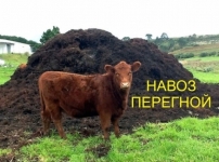 Перегной Воронеж доставка перегноя в Воронеже в объявлении 1 фото Перегной Воронеж доставка перегноя в Воронеже картинка из объявления