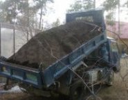 Чернозем,Земля,Перегной,Навоз,Торф доставка в любы в объявлении 6 фото Чернозем,Земля,Перегной,Навоз,Торф доставка в любы картинка из объявления