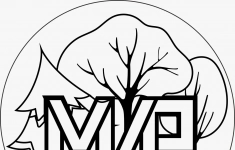 Вожатый в летний лагерь в объявлении 1 фото Вожатый в летний лагерь картинка из объявления