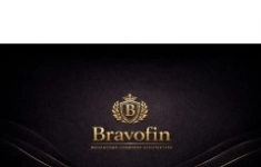 Амбассадор BravoFin / Партнёр по рекомендациям картинка из объявления
