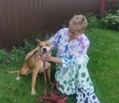 Ищет семью собака Хельга. В добрые руки. картинка из объявления