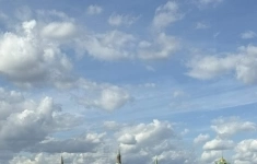 Продам 4 комнатную квартиру 111 м2 в объявлении 10 фото Продам 4 комнатную квартиру 111 м2 картинка из объявления