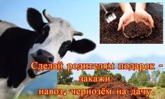 Воронежский перегной Ямное доставка по Воронежу и области в Ямном в объявлении 1 фото Воронежский перегной Ямное доставка по Воронежу и области в Ямном картинка из объявления