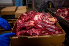 Мясо птицы, говядина, свинина, баранина в объявлении 7 фото Мясо птицы, говядина, свинина, баранина картинка из объявления