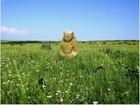 Пай 5,78 гектара,Хомутовская степь,Донецк картинка из объявления