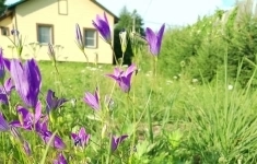 Продам дом 51.3 м2 картинка из объявления